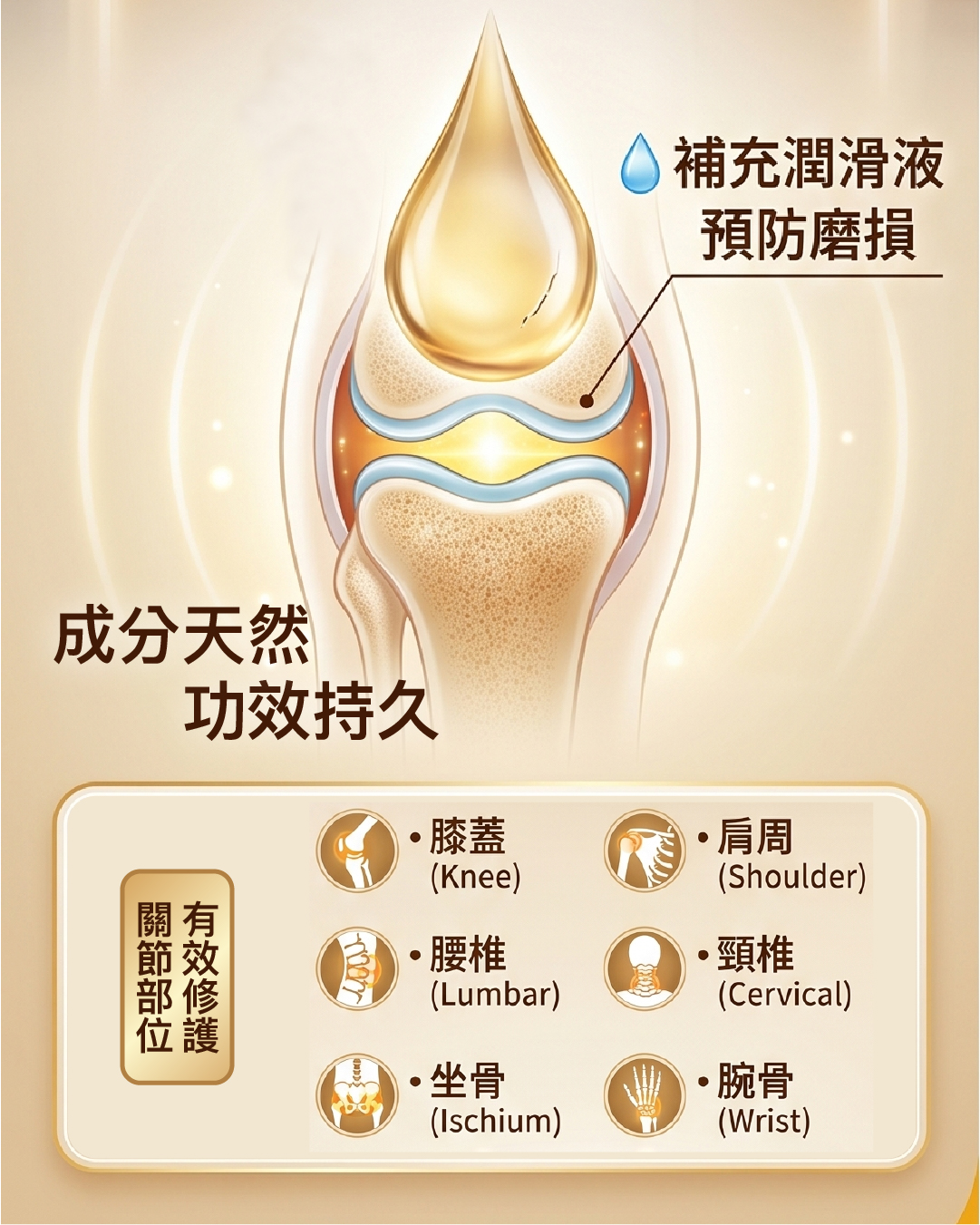 一品-website-product-2_活關節寶-2.jpg