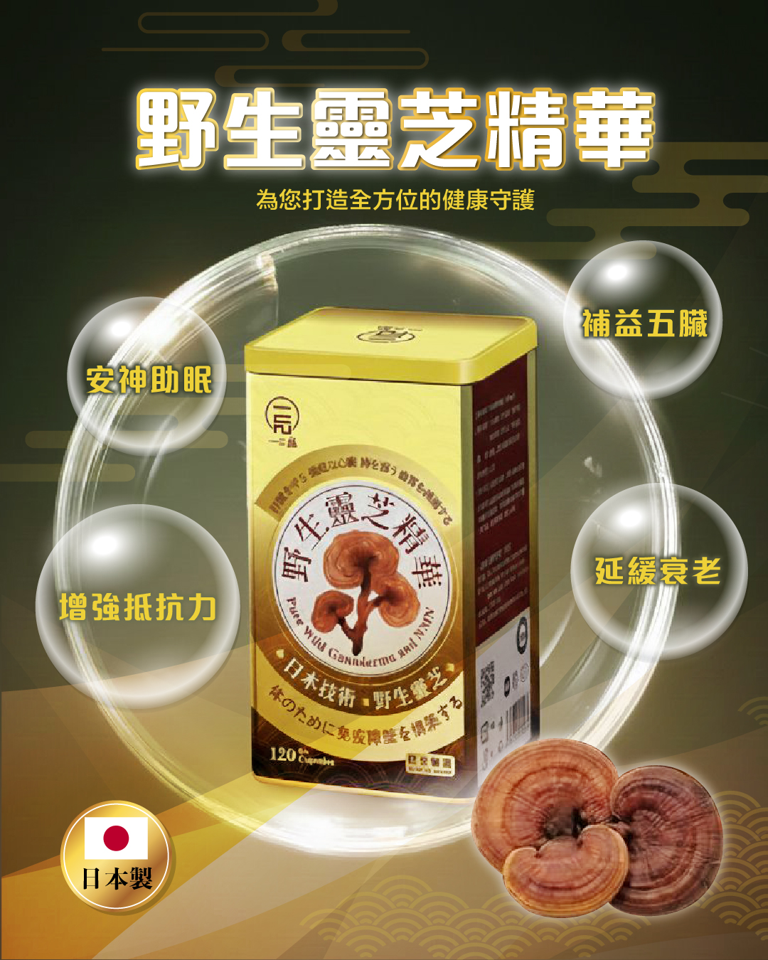 一品-website-product-4_野生靈芝精華-1.jpg